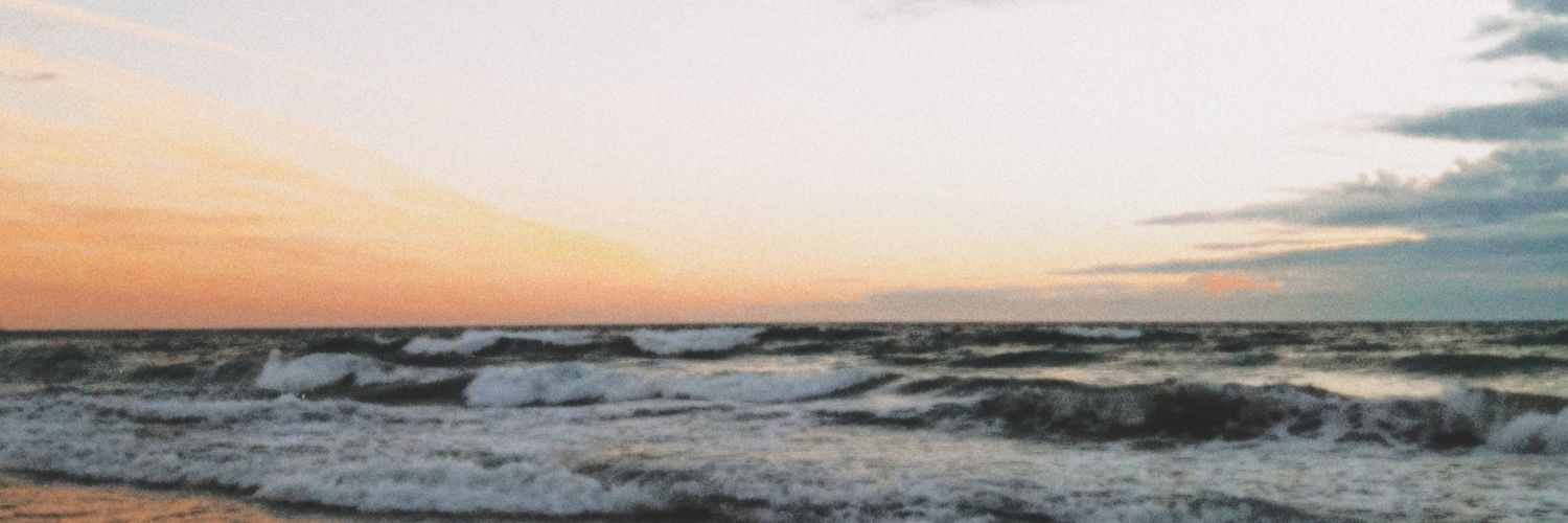 joanajcp's profile banner image