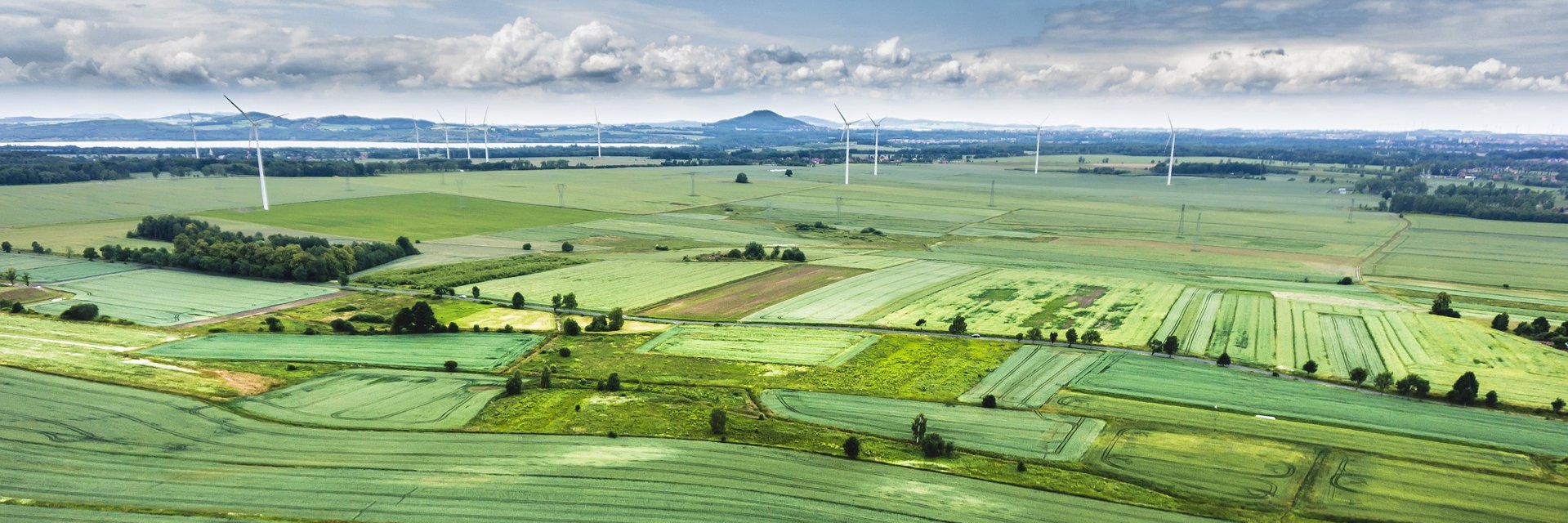 UK Shoot Warehouse banner