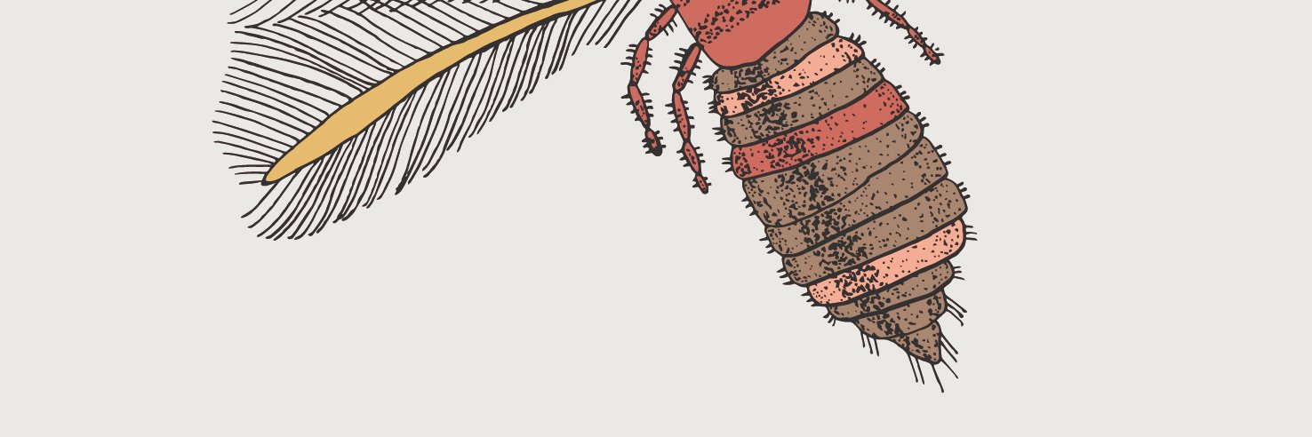 RicusCoevering's profile banner image