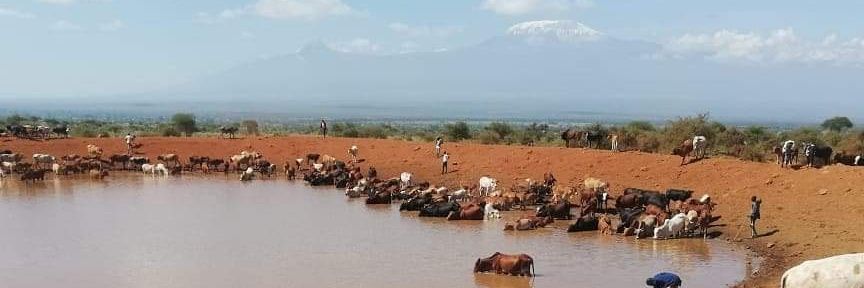 Majiwa Hamilton banner