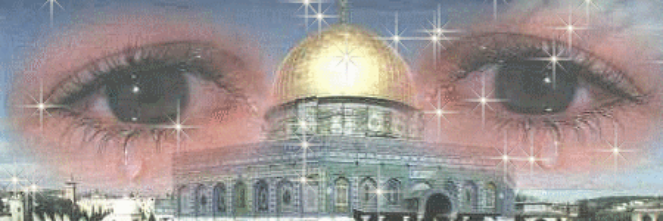 awan_you's profile banner image