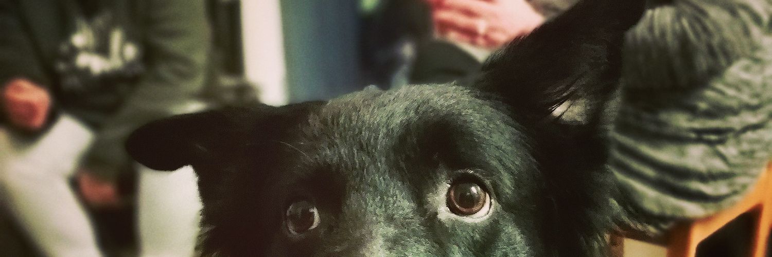 jacrispy95's profile banner image