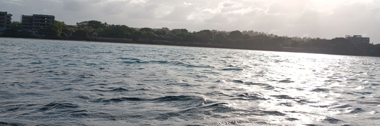 too_martin's profile banner image