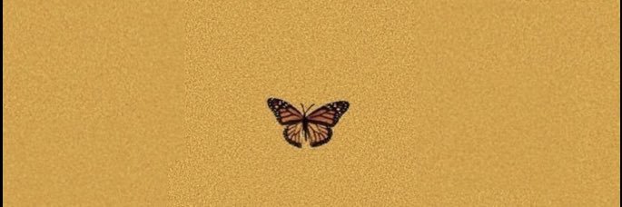 C H A R L O T T E banner