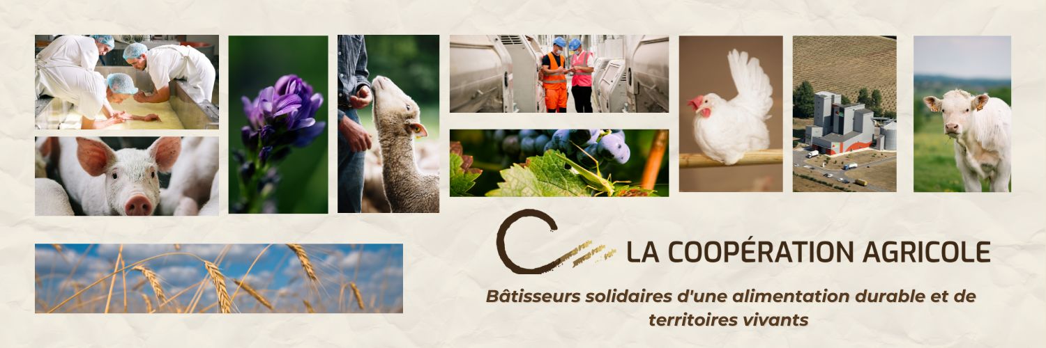 Dominique Chargé banner