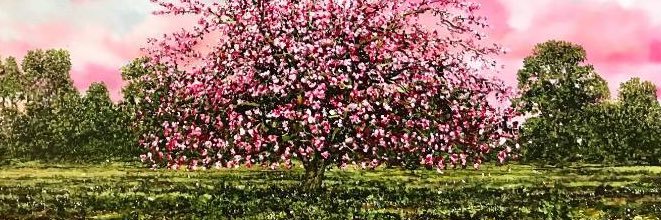 Alpha Art Gallery banner