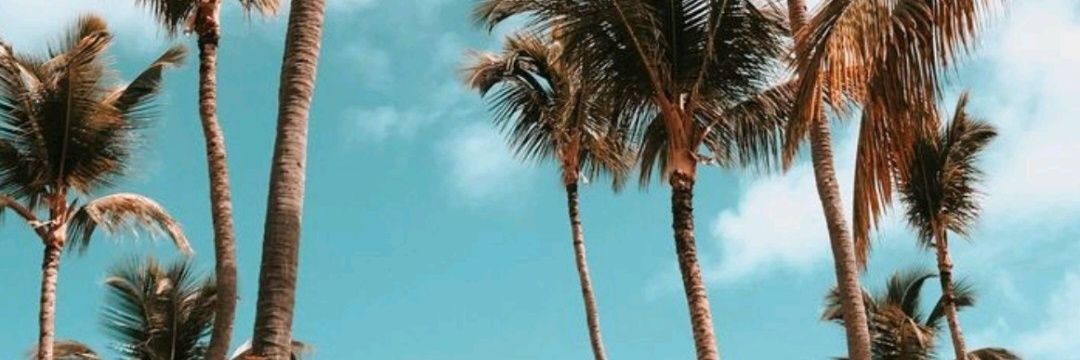 Nare_nomas's profile banner image
