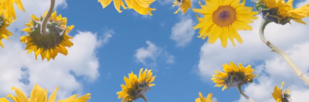 TachiZee's profile banner image
