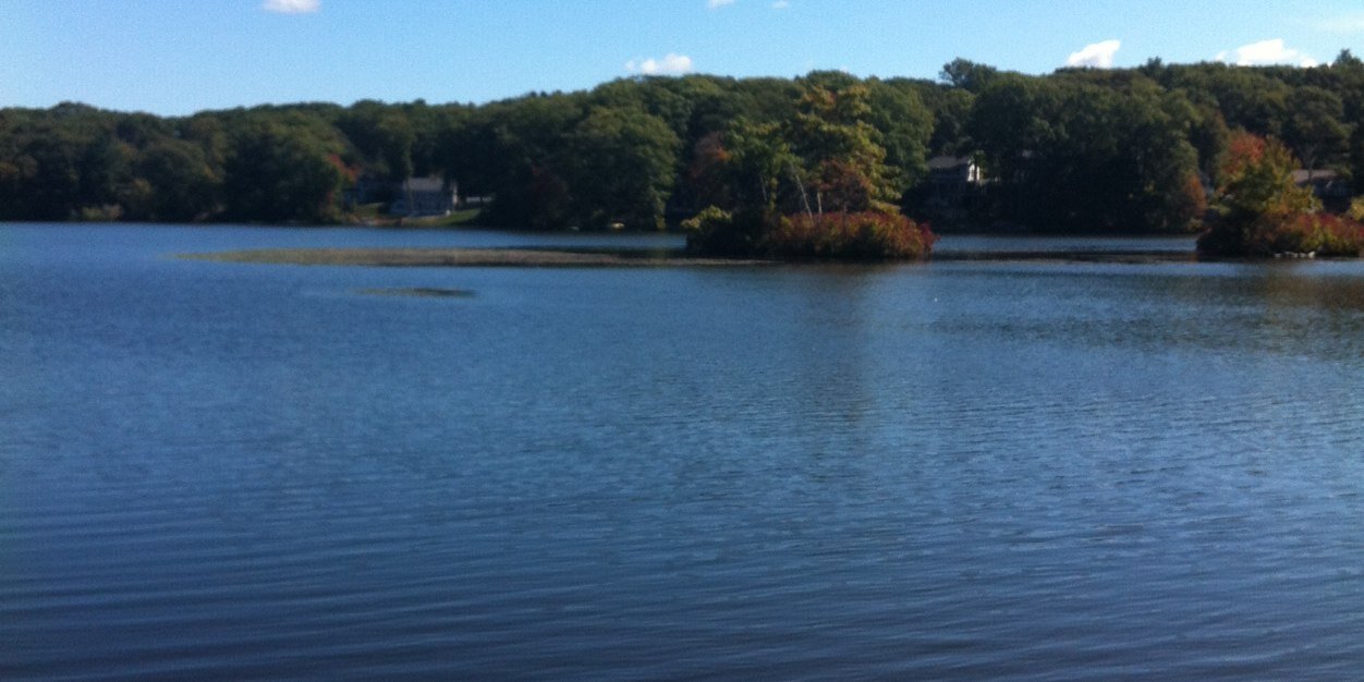 Brónagh O'Donovan banner