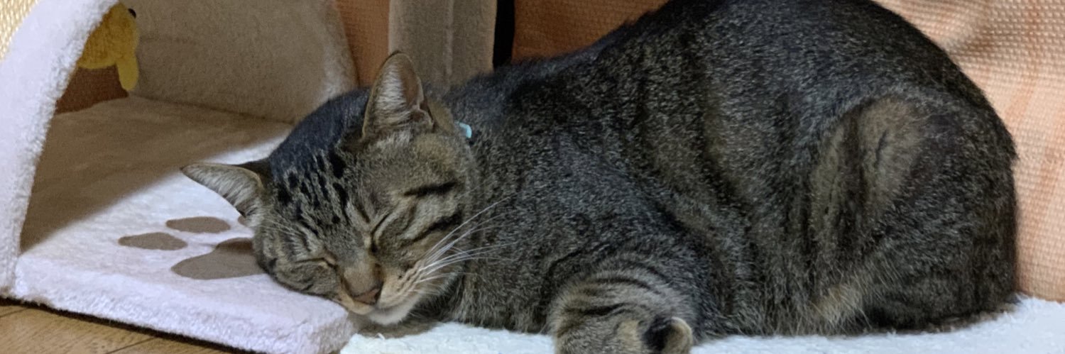 tabby_mew's profile banner image
