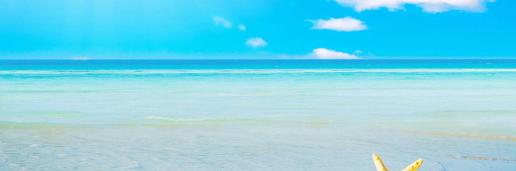 Acjor12's profile banner image
