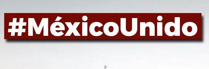 Partido Morena MX banner