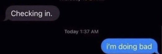 🌿 lex 🌱 banner