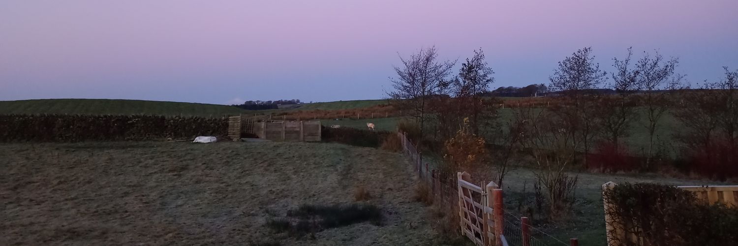 Simon Laurence Doyle banner