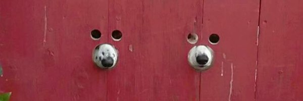 dnohare Profile Banner