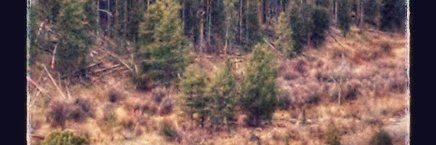 PauleyWinn's profile banner image