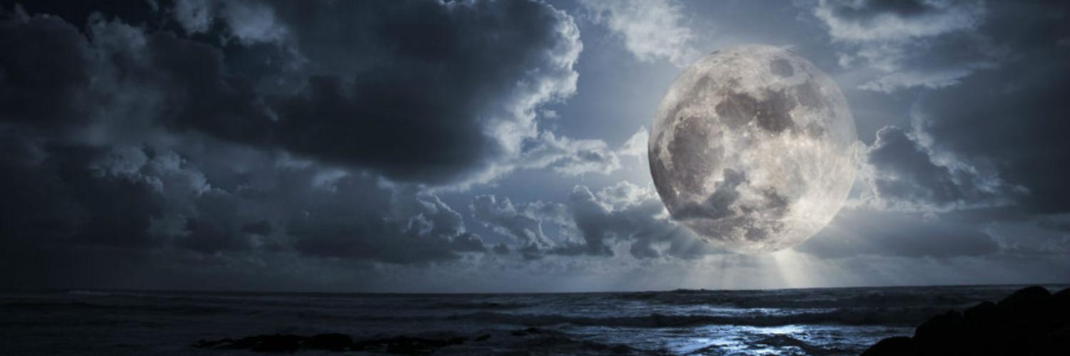 ALPHA_526's profile banner image