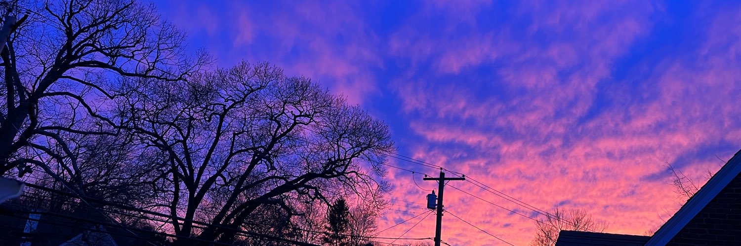 theboodib's profile banner image