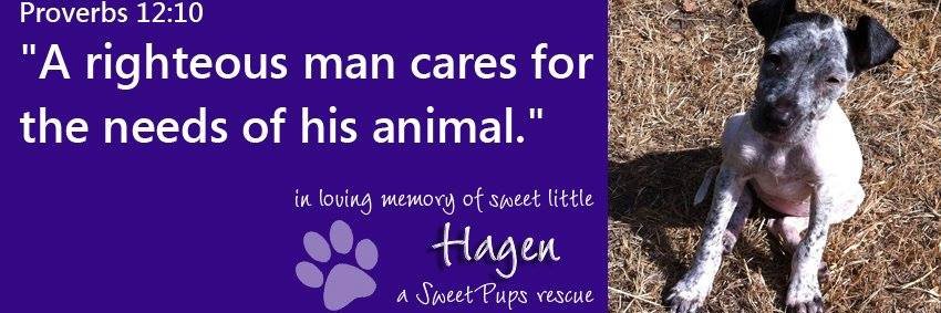 sweetpupsinc's profile banner image