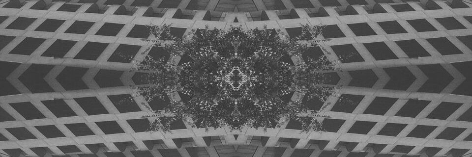 congocaleb's profile banner image
