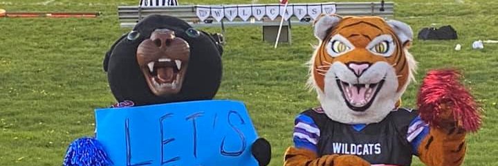 Brunswick CSD banner