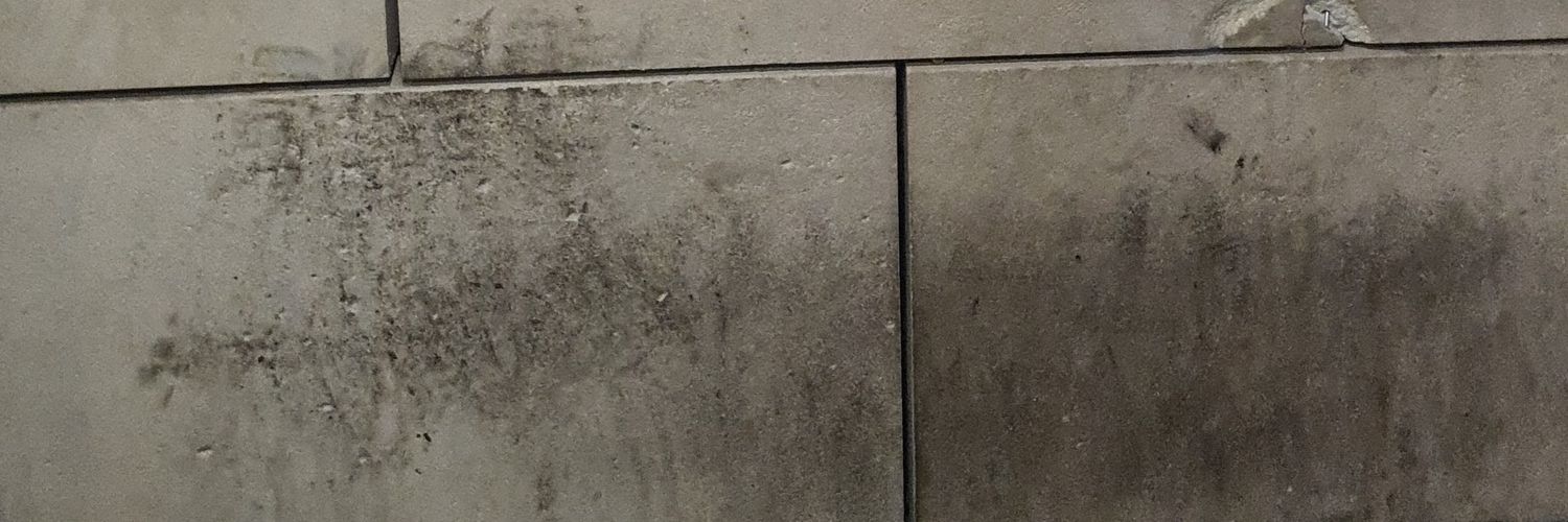 FalleRay_'s profile banner image