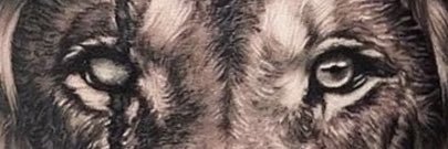 Jesse banner