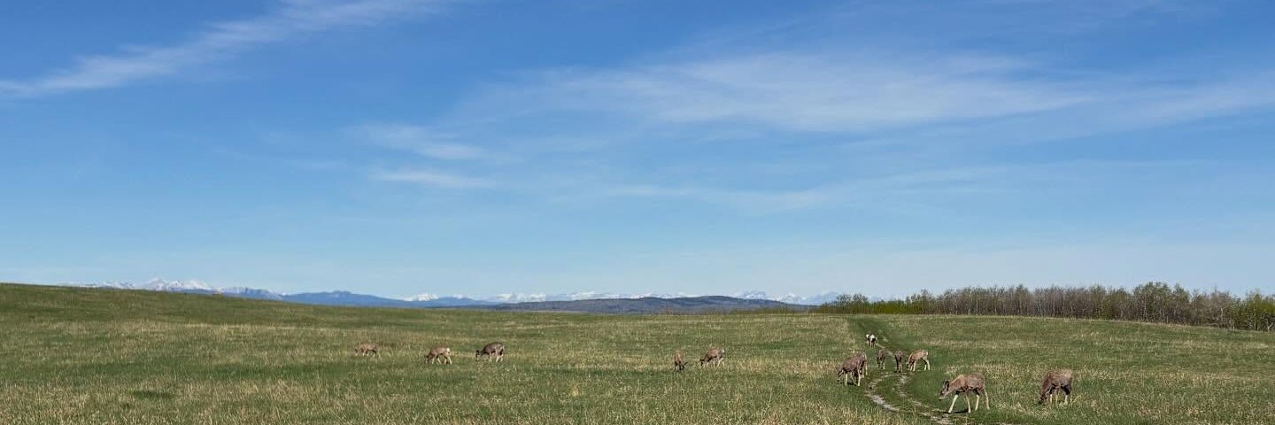 ASCConservation's profile banner image