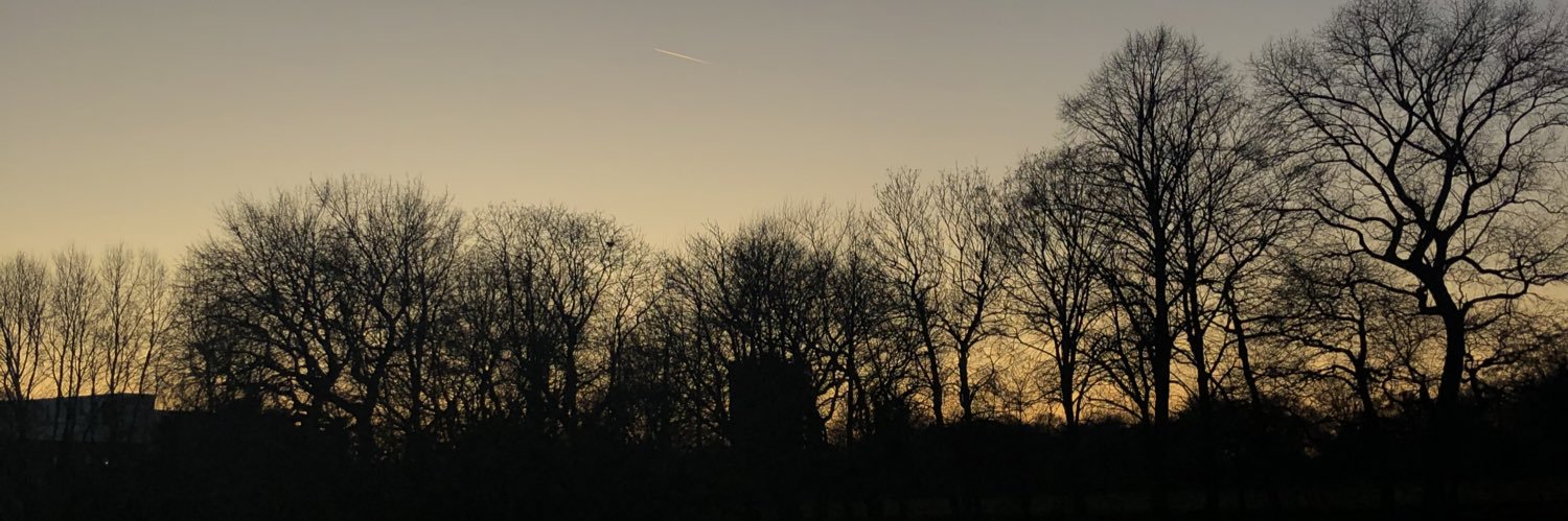 maddykclark's profile banner image