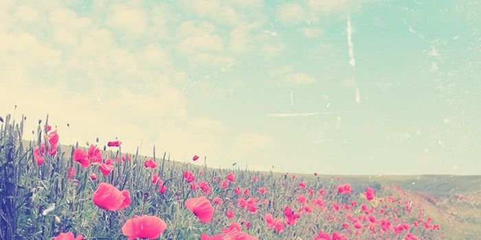 snapminaring's profile banner image