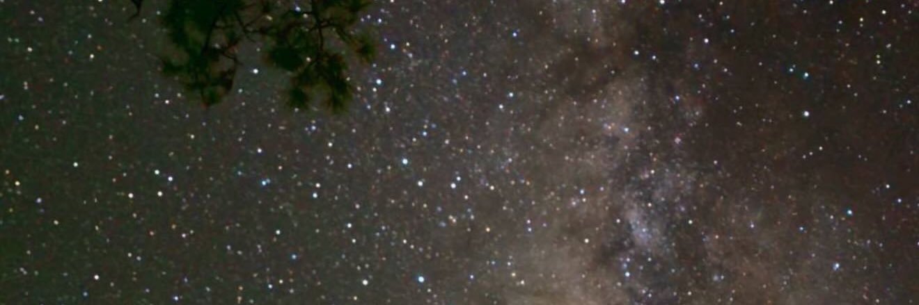 ppang94's profile banner image