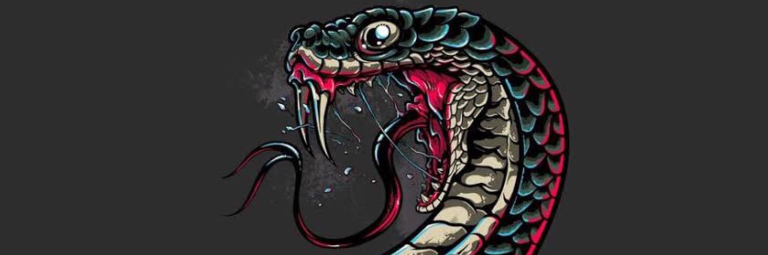 kpnts's profile banner image