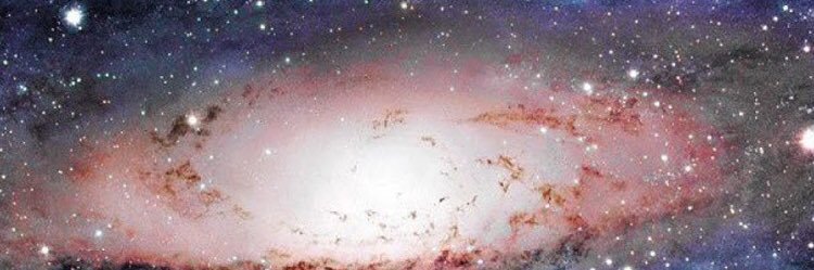 Miguel8Nelson's profile banner image