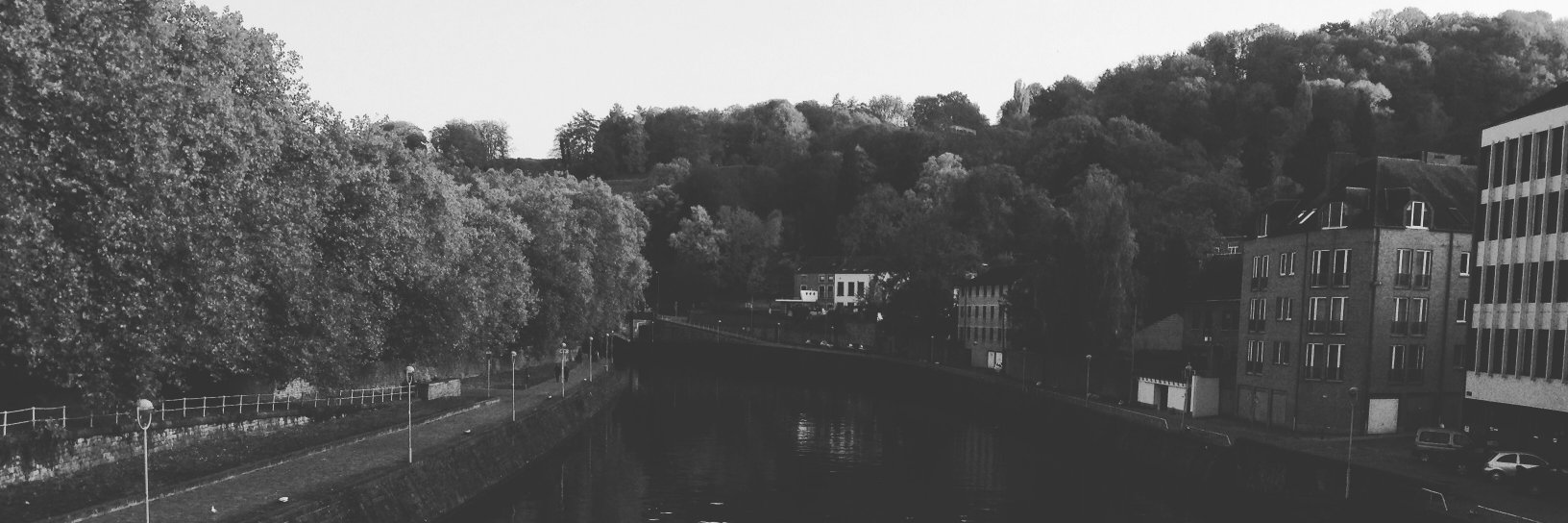 lnrms8's profile banner image