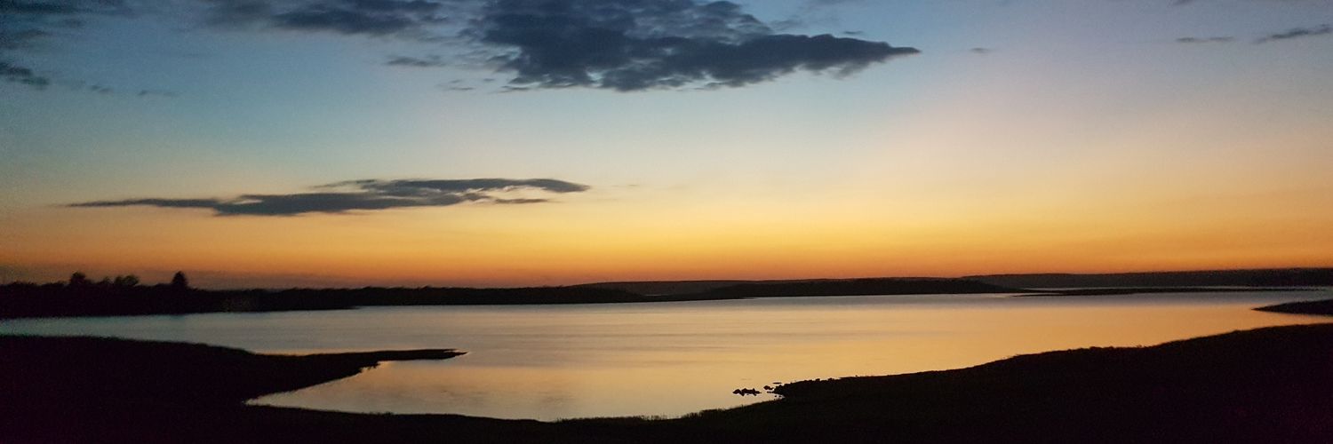 carlosheld1983's profile banner image