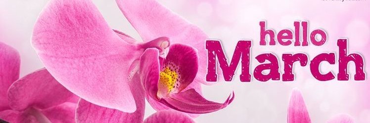 Mont Co Pub Library banner