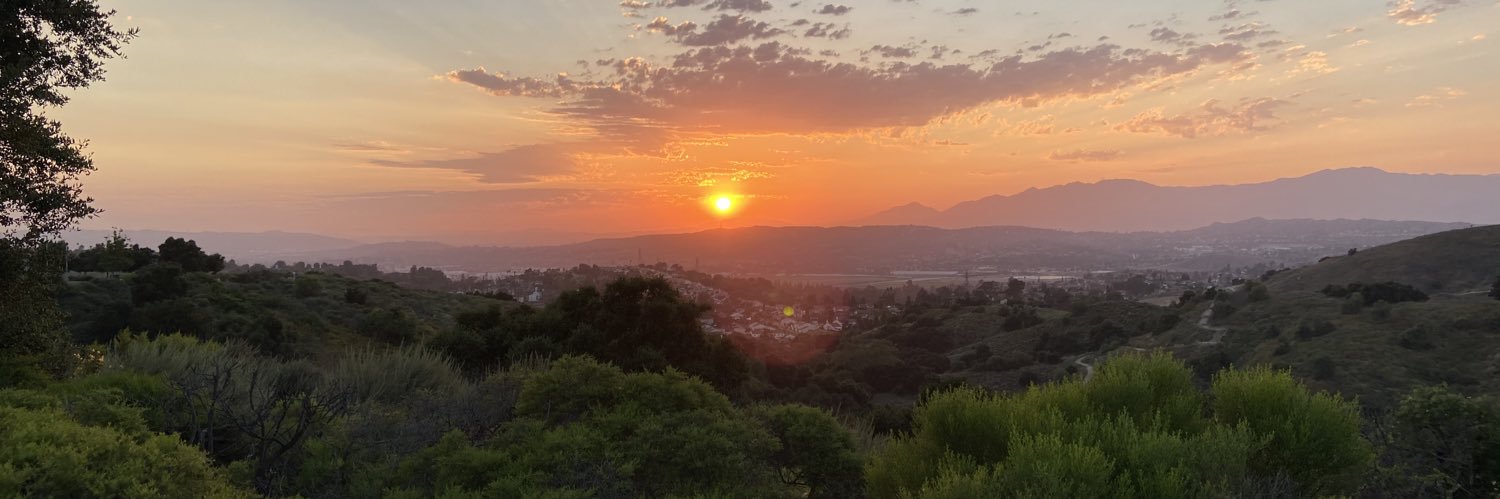 Allen J. Wilson 🇺🇸 🇮🇹 🇮🇪 banner