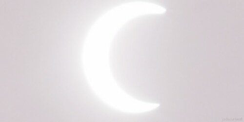 AriScal_'s profile banner image