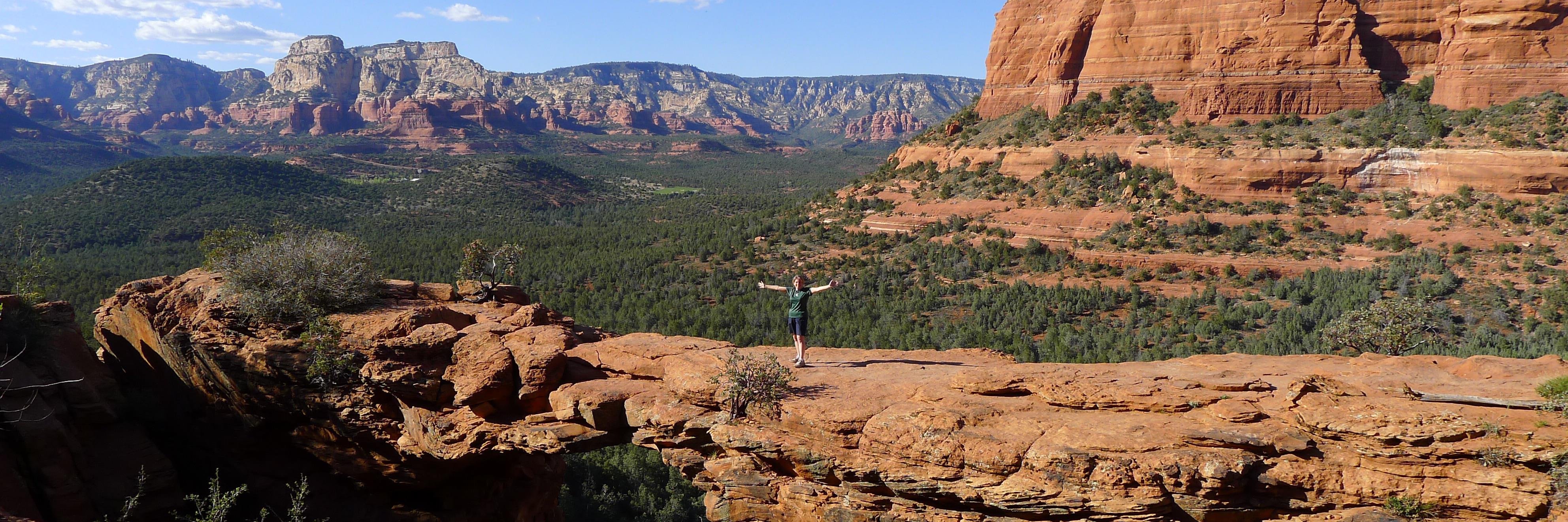 Lynn Bufka, PhD banner