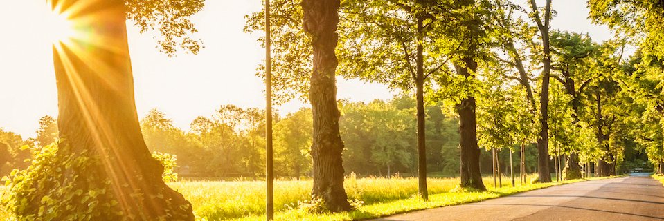 MedicaidIndy's profile banner image