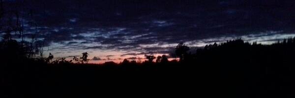 Hopey11's profile banner image