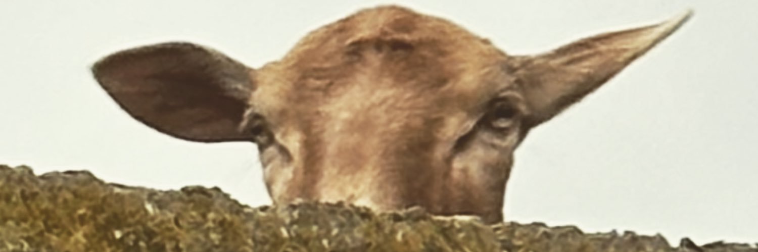 srath123's profile banner image