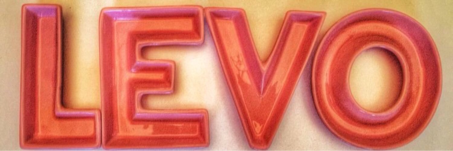 LeventKarakas11's profile banner image