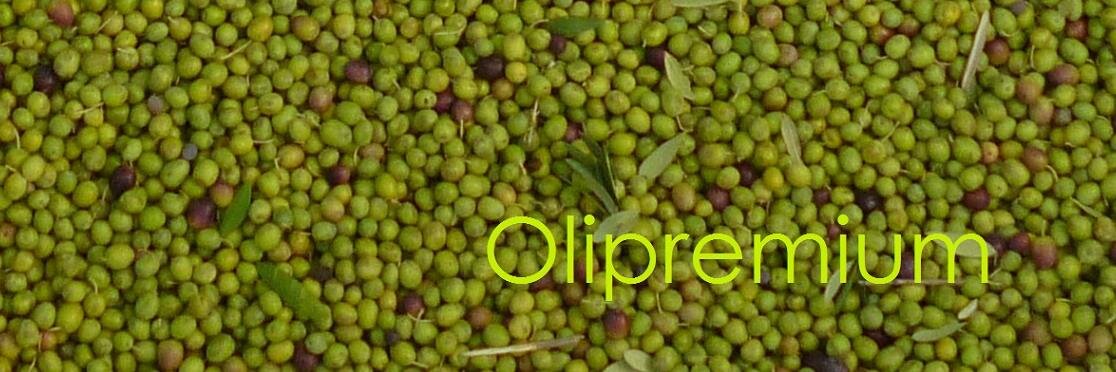 Olipremium's profile banner image