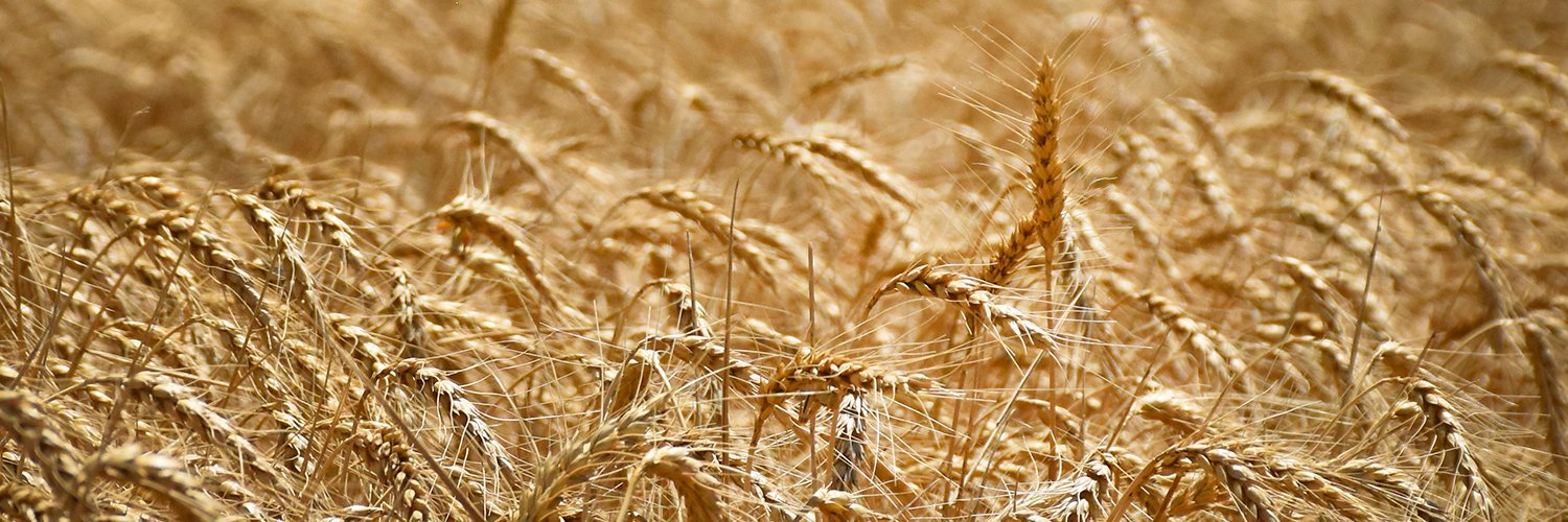 NRCS_Oklahoma's profile banner image