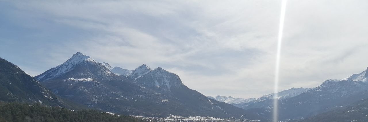 Палундра Лавгуд banner