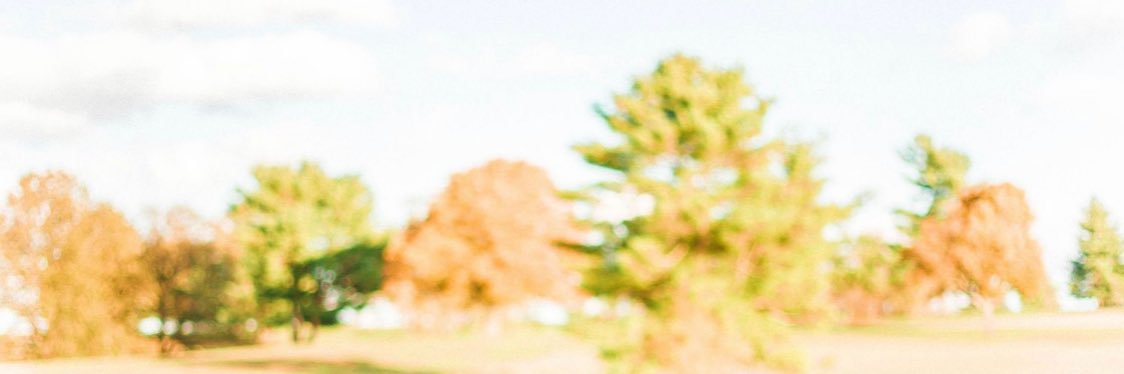 OkayOkay101's profile banner image