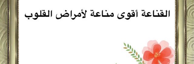 mshaaheen's profile banner image