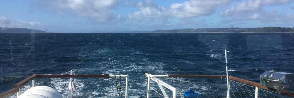 Osvaldo Ulloa banner