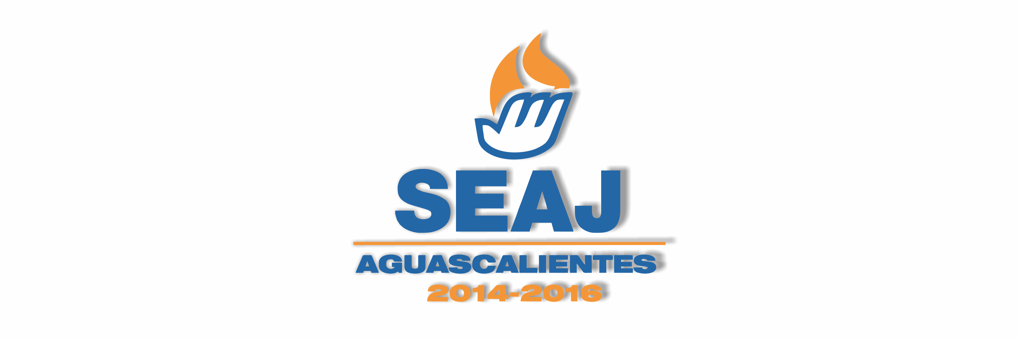 Acción Juvenil Ags banner